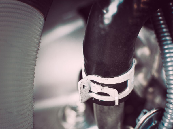 Hortum ve Kelepçe Grubu